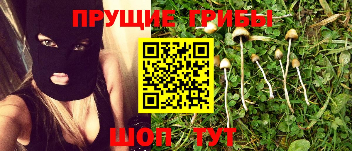 Галлюциногенные грибы Magic Shrooms  Вход с VPN  как найти наркотики  Верхняя Салда  Галлюциногенные грибы прущие грибы 